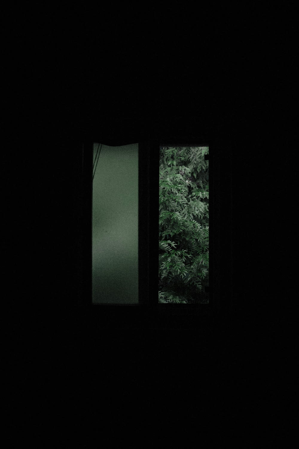 alberi verdi davanti alla finestra