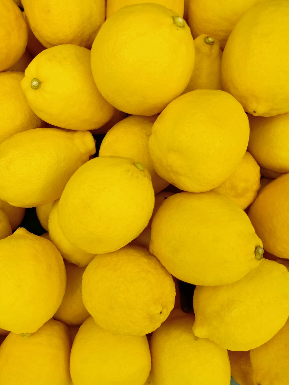 fruit de citron jaune en gros plan photographie
