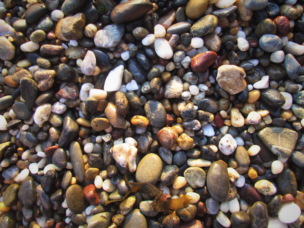 white gray and brown pebbles