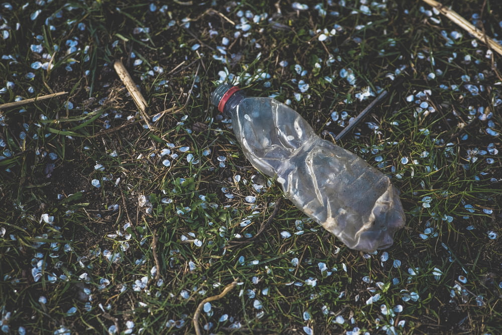 durchsichtige Plastikflasche auf grünem Gras
