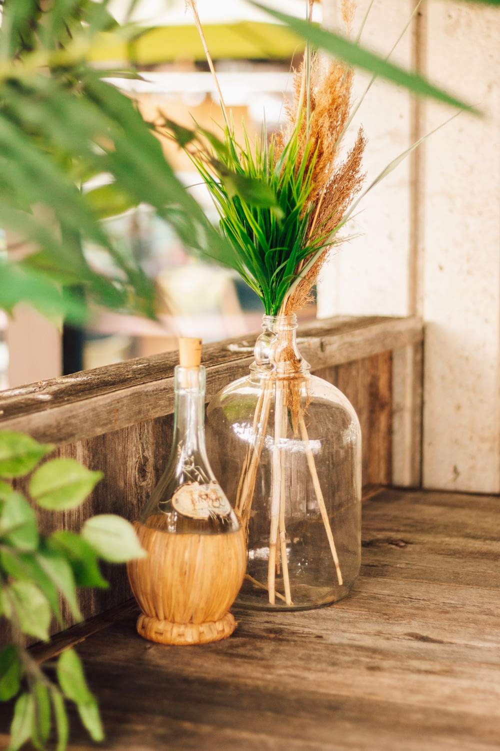 brown and green plant in clear glass bottle