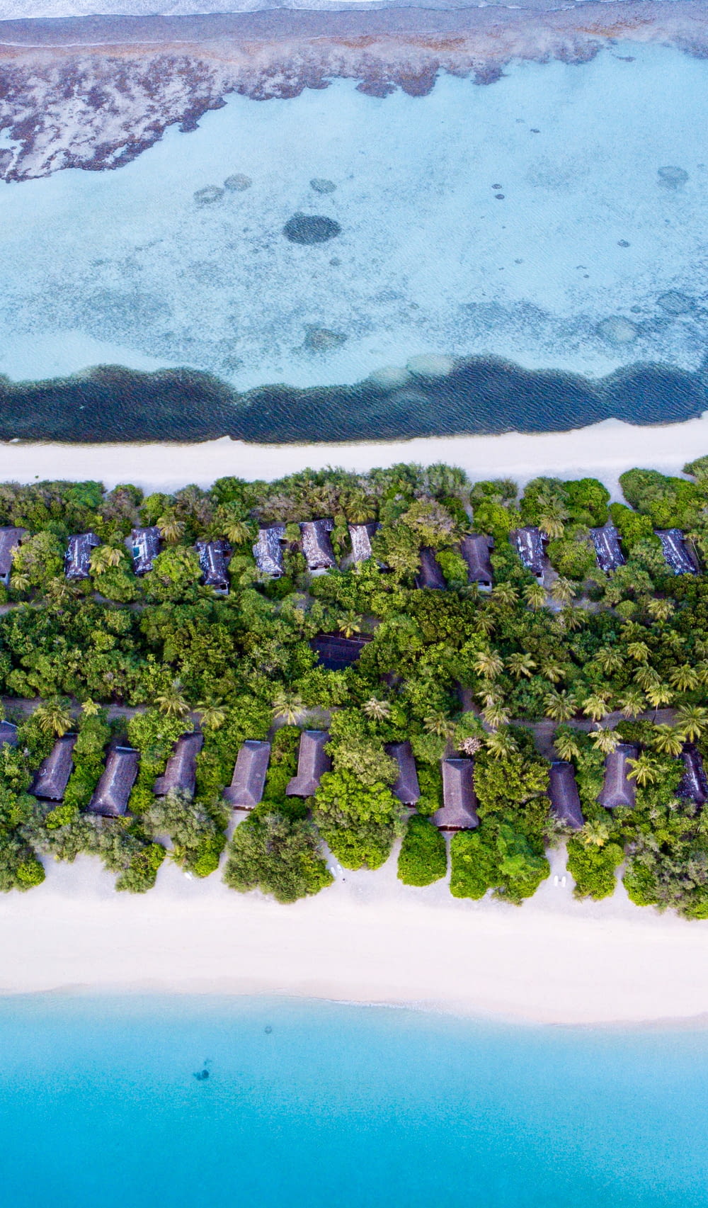 aerial view of green trees and white sand beach