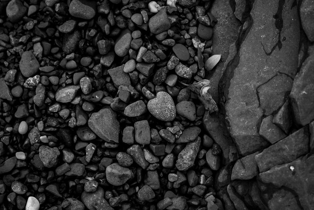 돌의 그레이 스케일 사진