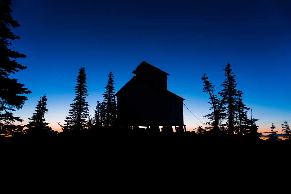 silhouette of house near trees during night time