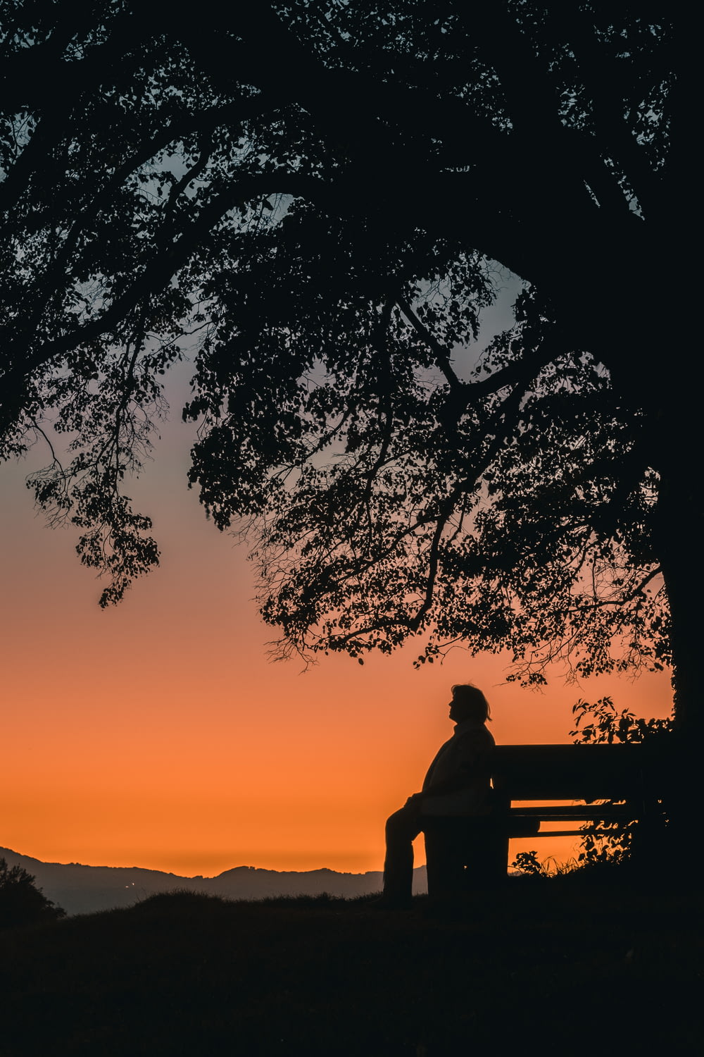 Silhouette eines Mannes, der während des Sonnenuntergangs auf der Bank sitzt