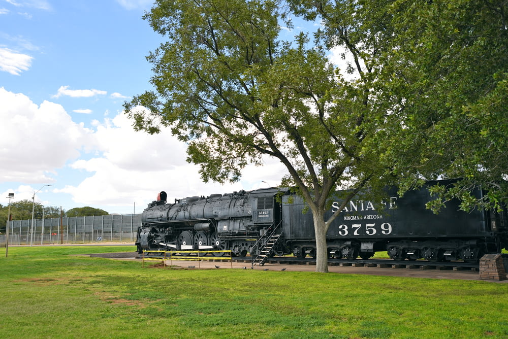 black train on green grass field near green trees during daytime