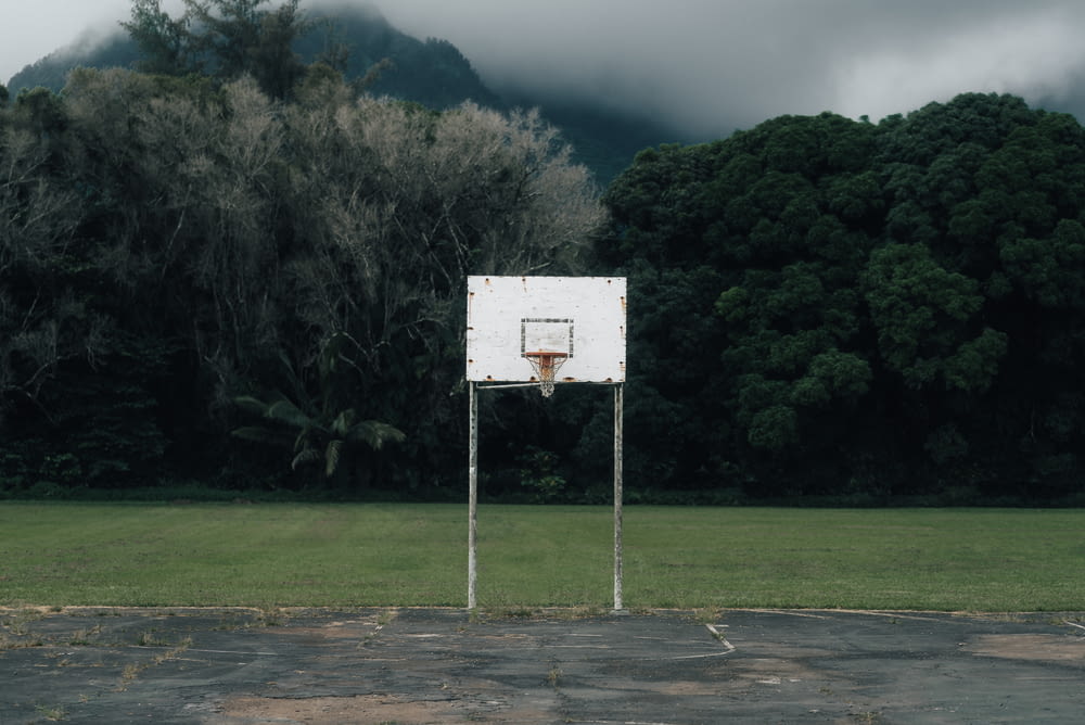 white and gray basketball hoop near green trees during daytime