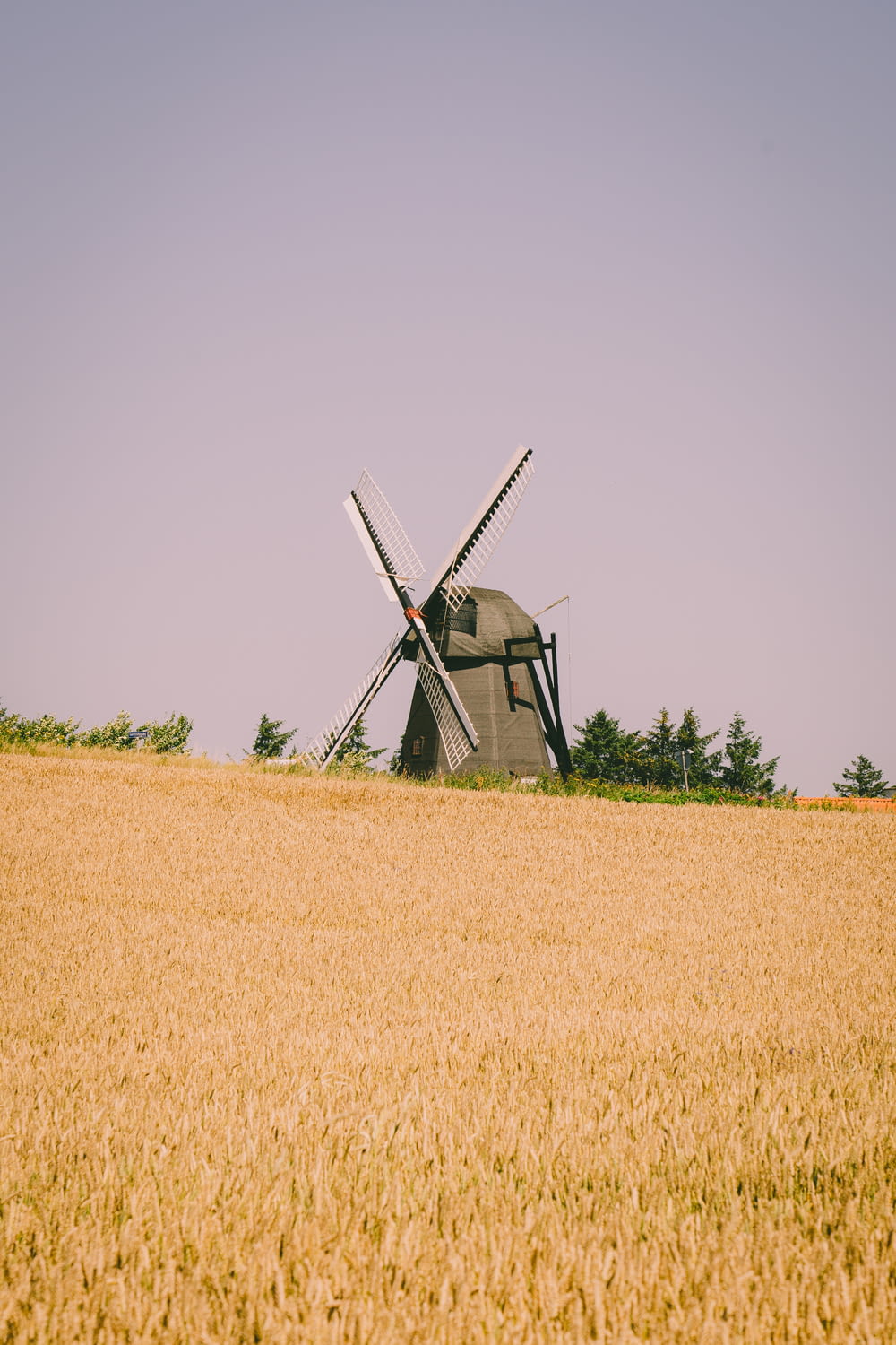 windmill on brown grass field during daytime