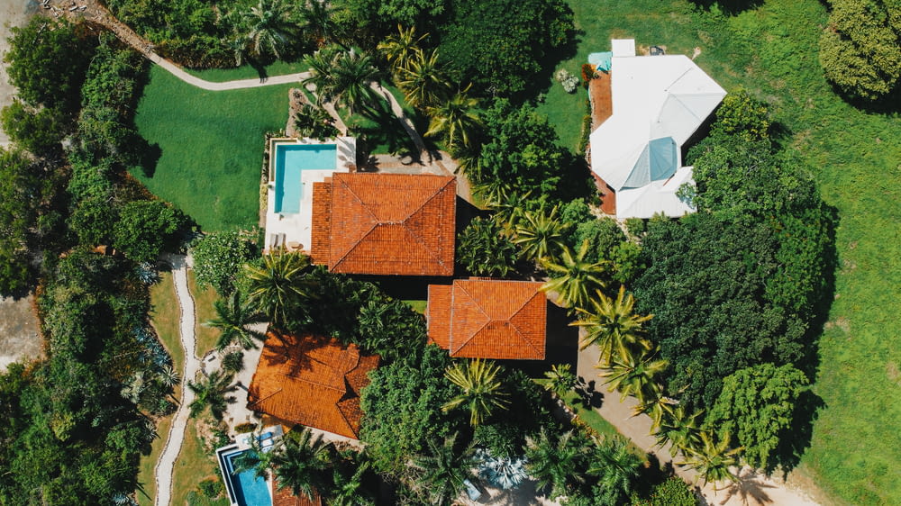 Vista aérea de árboles verdes y casa marrón y blanca