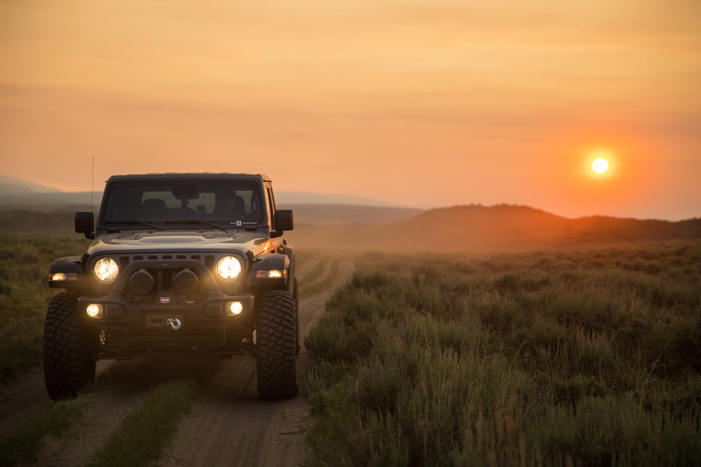black jeep wrangler on green grass field during sunset