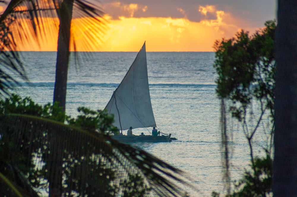 white sailboat on sea during sunset