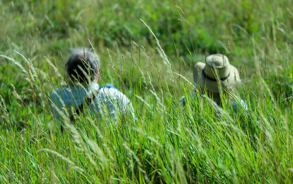 hombre en camisa de vestir a cuadros azul y blanco sentado en el campo de hierba verde durante el día