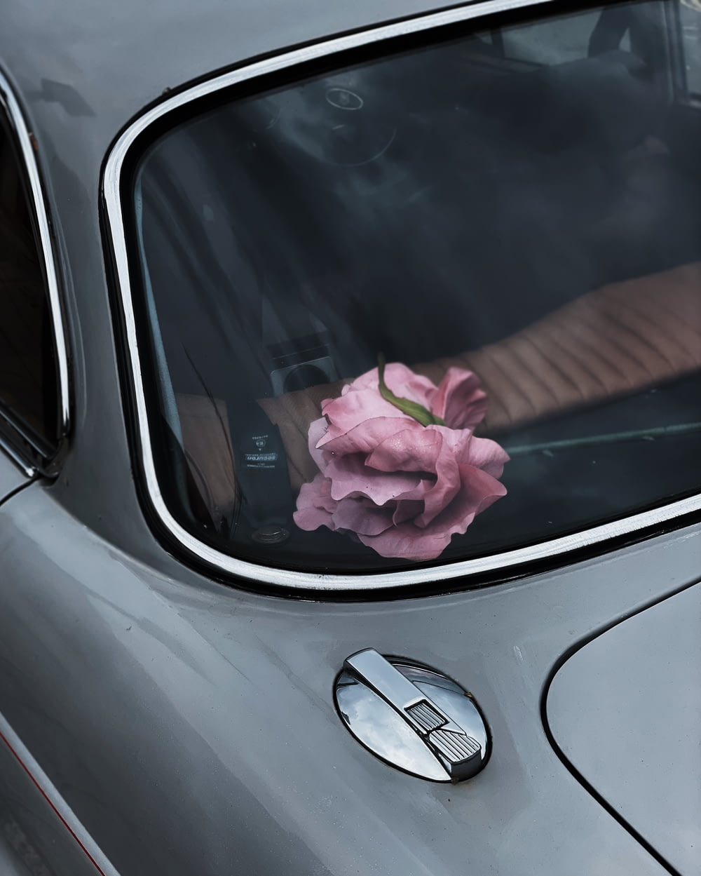 pink flower on car dashboard