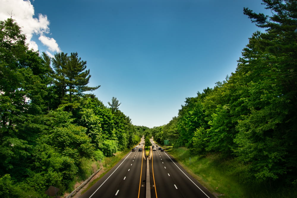 estrada de asfalto preto entre árvores verdes sob o céu azul durante o dia