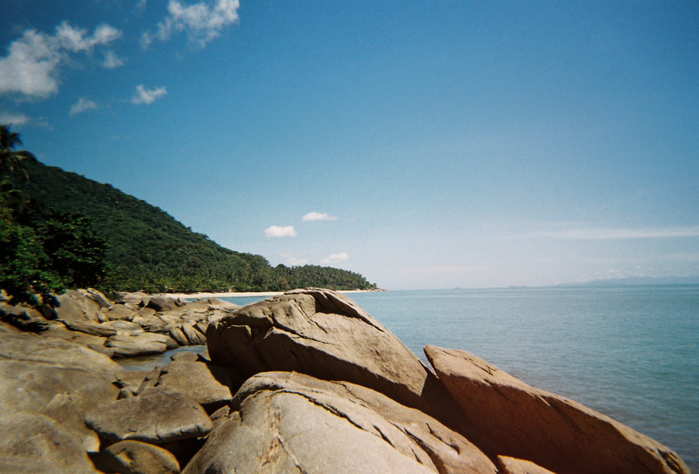brown rocky shore near green trees under blue sky during daytime