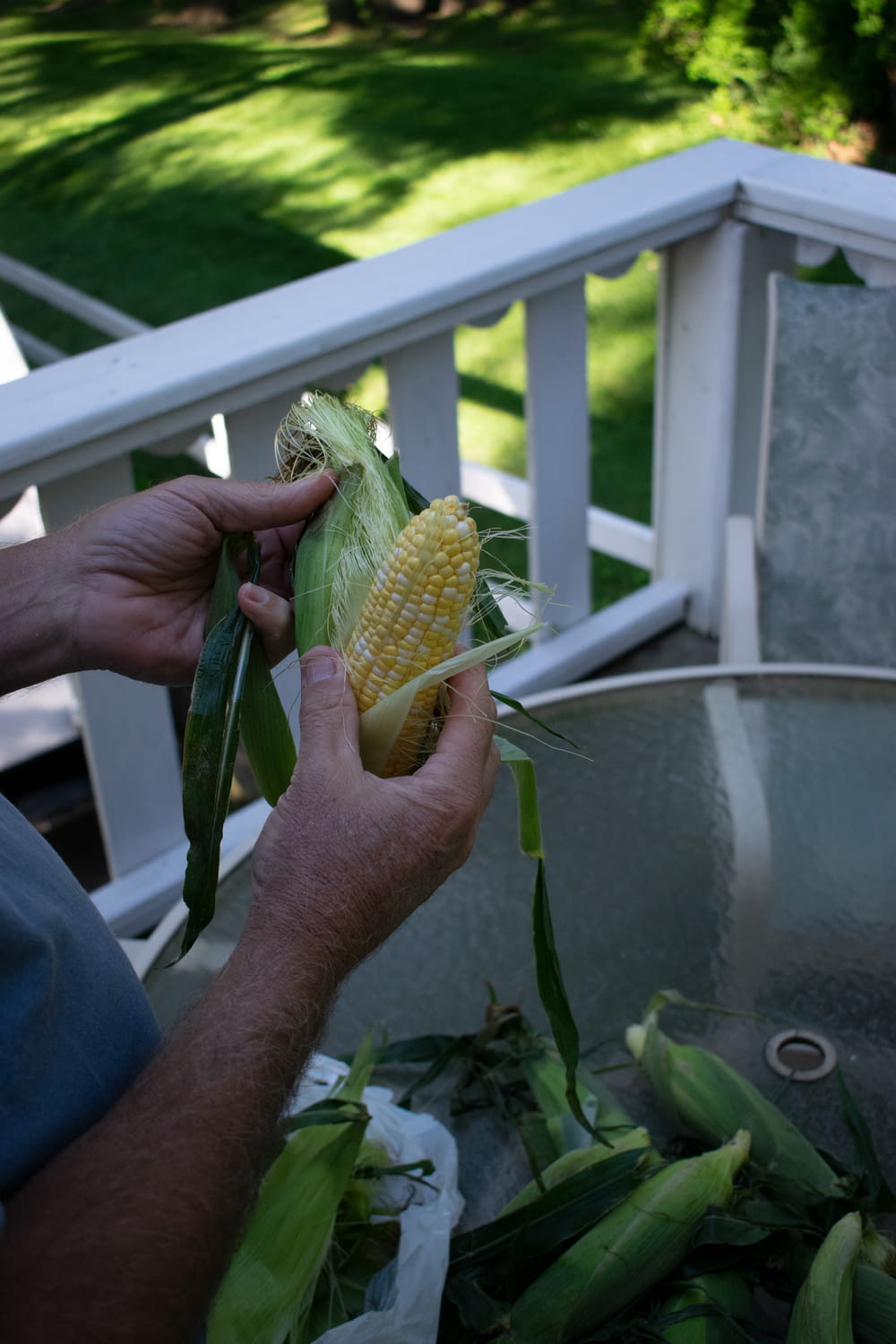 person holding corn in a pot