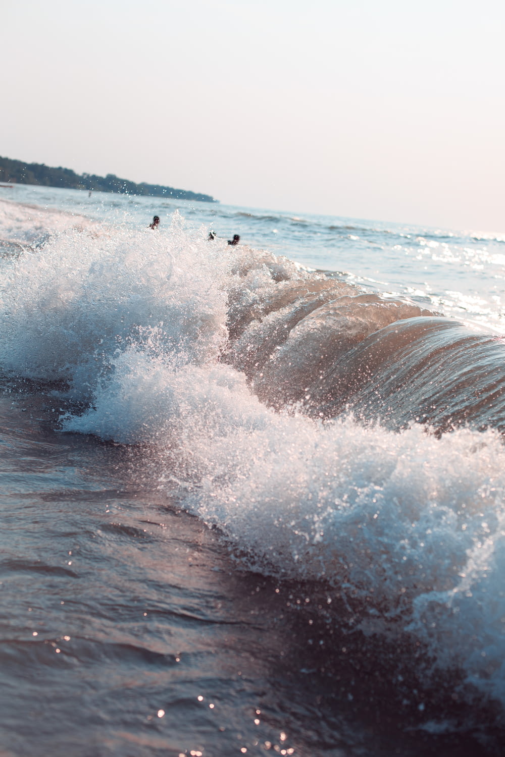 une grosse vague s’écrasant sur le rivage d’une plage
