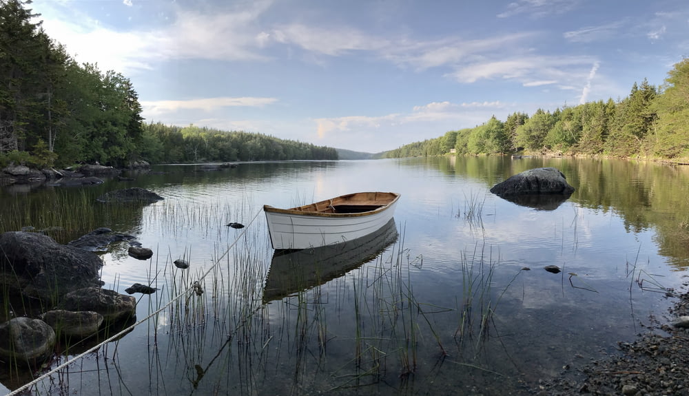 森の隣の湖の上に浮かぶ小さなボート