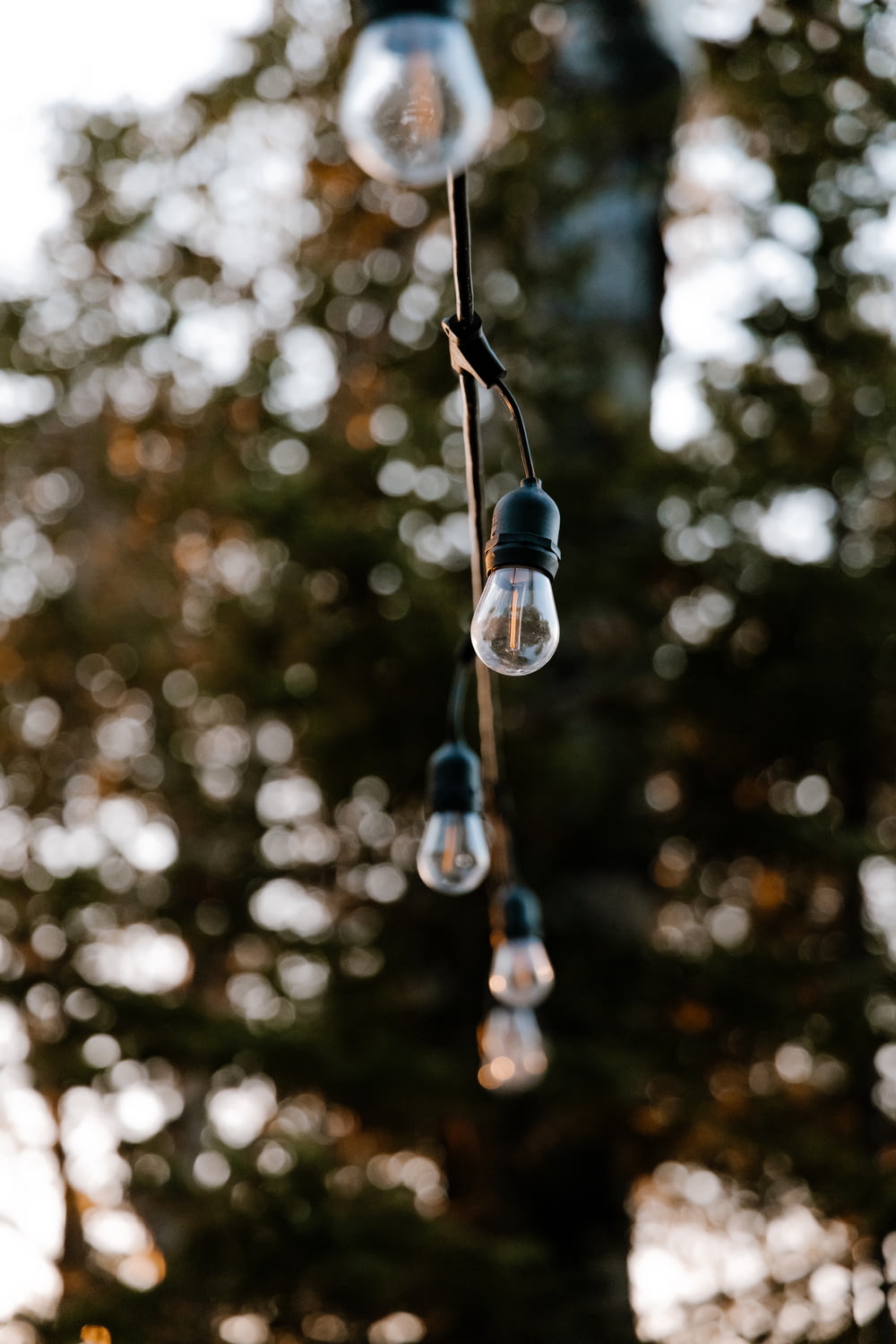 a bunch of light bulbs hanging from a tree