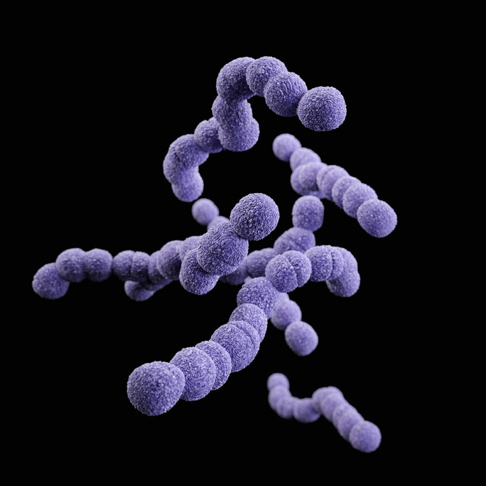 an image of a group of purple balls on a black background