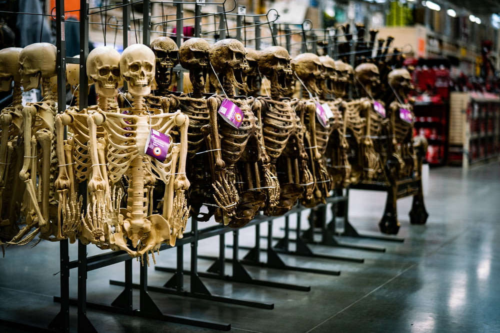 uma fileira de esqueletos humanos em exposição em uma loja