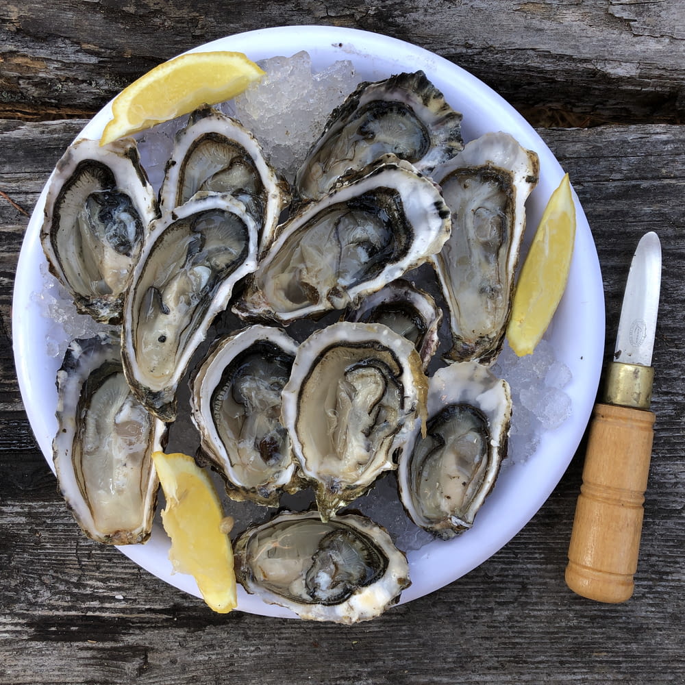 a plate of oysters with lemon wedges and a knife