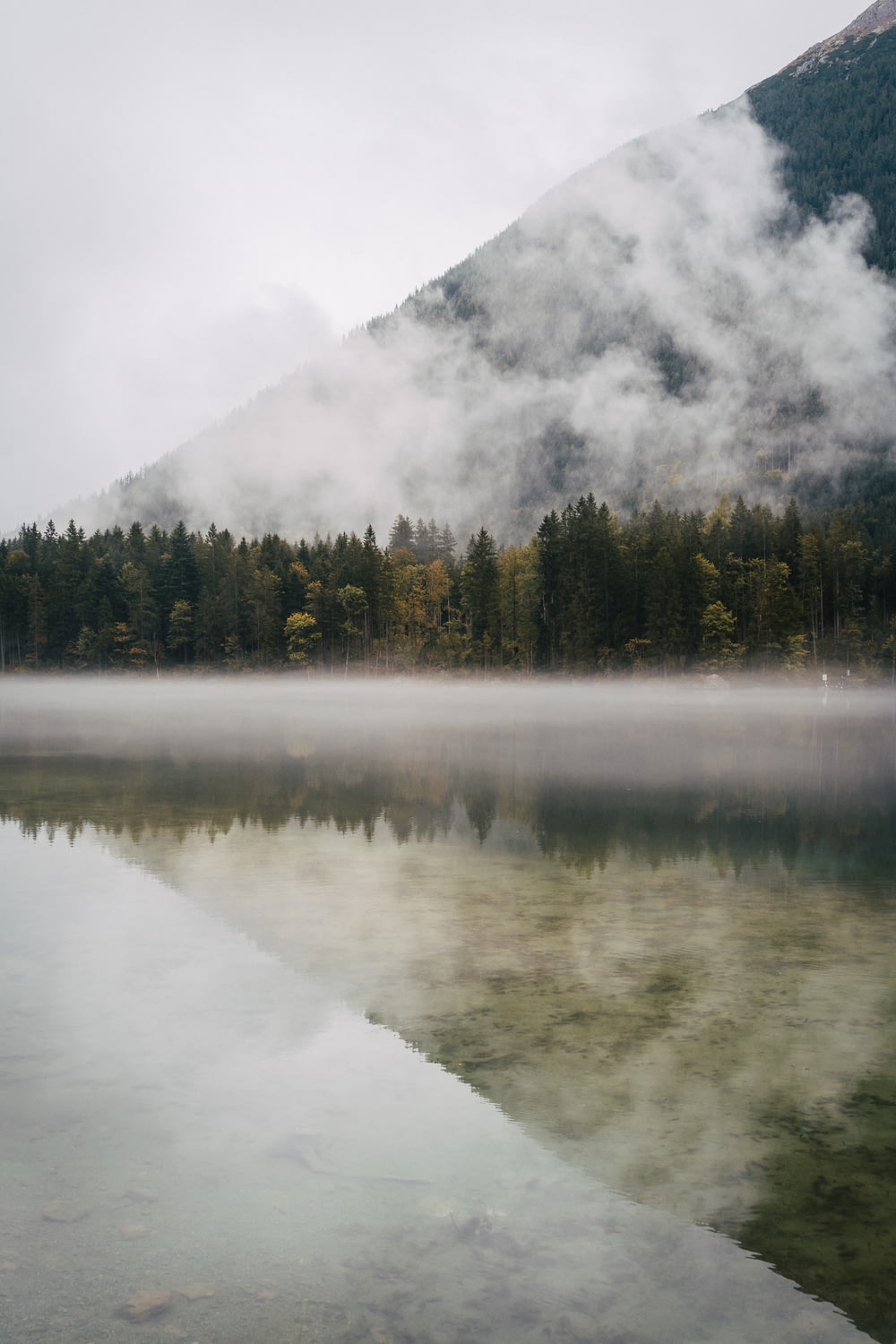um lago cercado por uma floresta coberta de neblina
