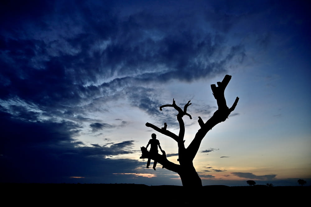 a silhouette of a tree against a cloudy sky