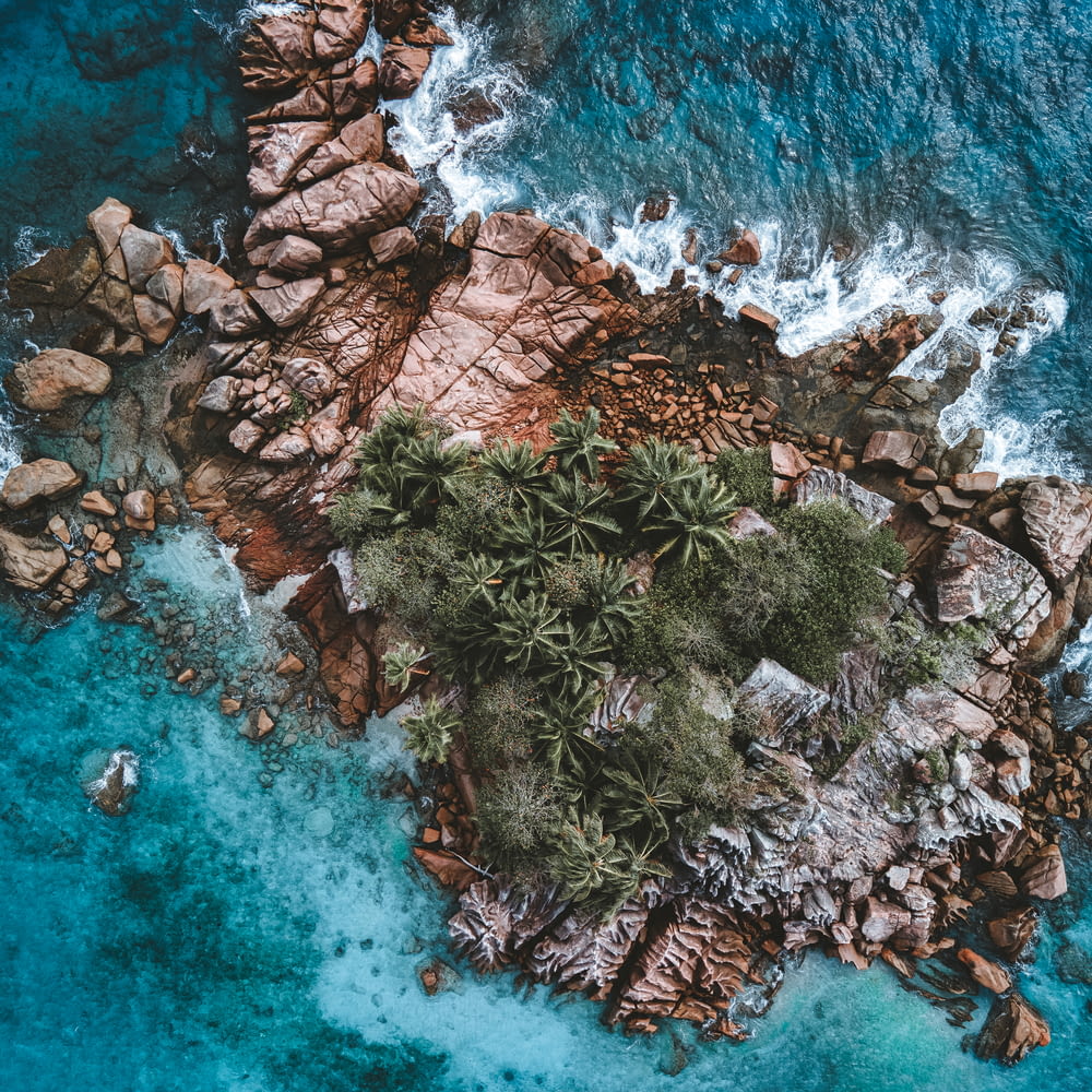 an aerial view of a rocky beach with palm trees