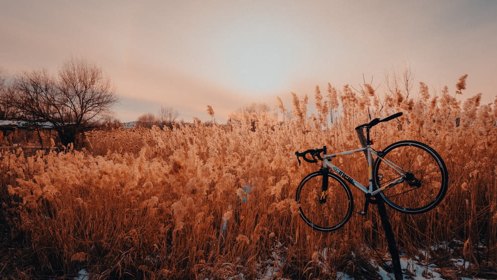 a bike parked in a field of tall grass