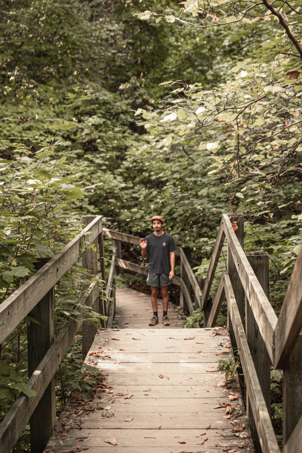 a man standing on a wooden bridge in the woods
