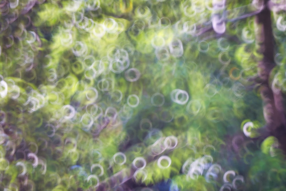 a blurry photo of bubbles floating in the air