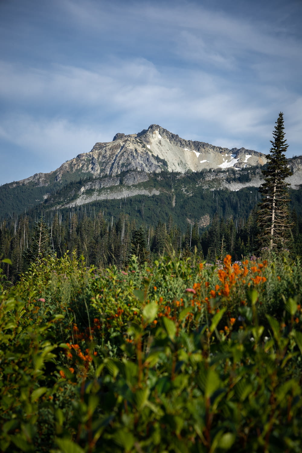 a view of a mountain with trees and flowers in the foreground