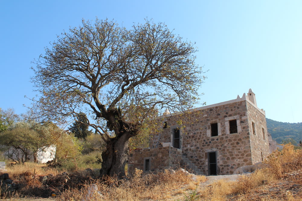 a stone building with a tree in front of it