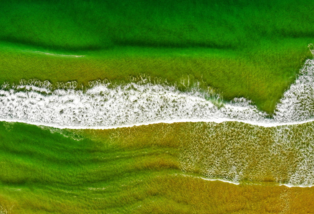 Una vista aérea de una playa con agua verde