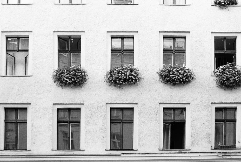 a black and white photo of a building with flowers on the windows