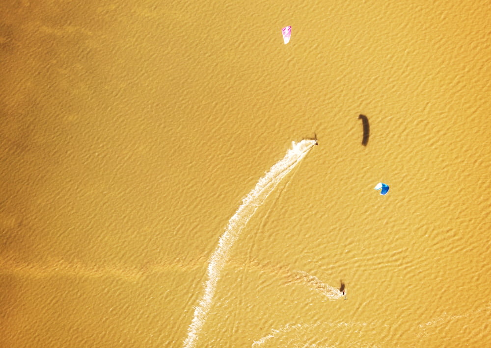 um grupo de pessoas empinando pipas em cima de uma praia de areia