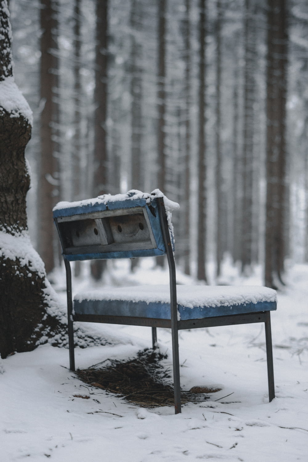 a blue bench sitting in the middle of a snow covered forest