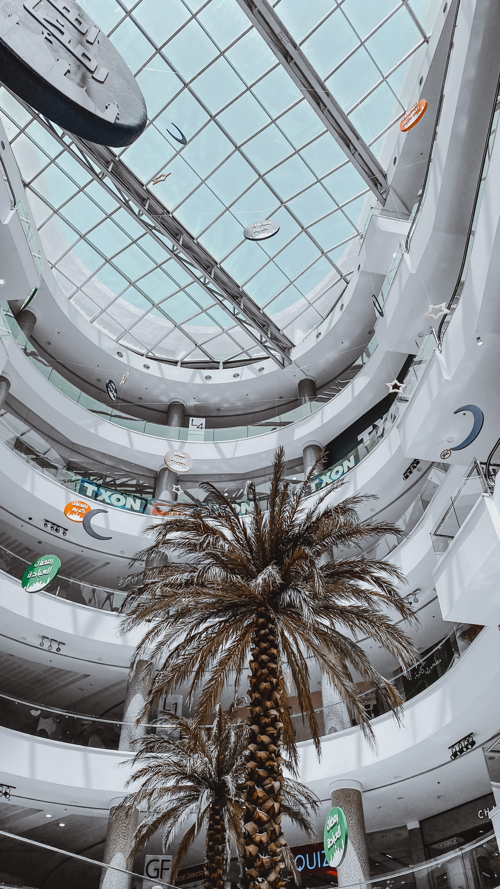 a palm tree inside of a large building