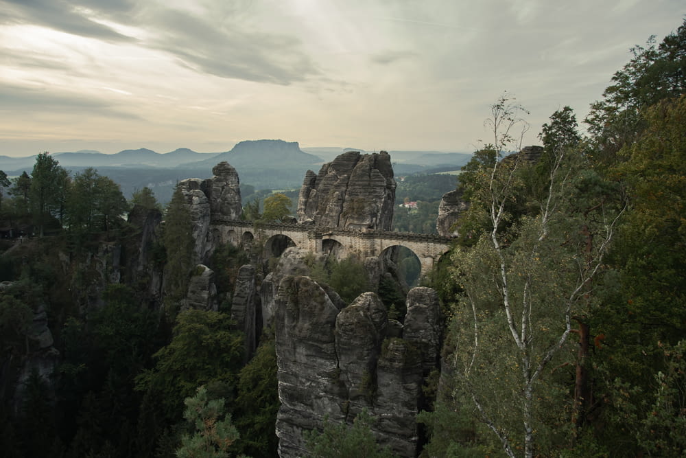 a stone bridge over a canyon surrounded by trees