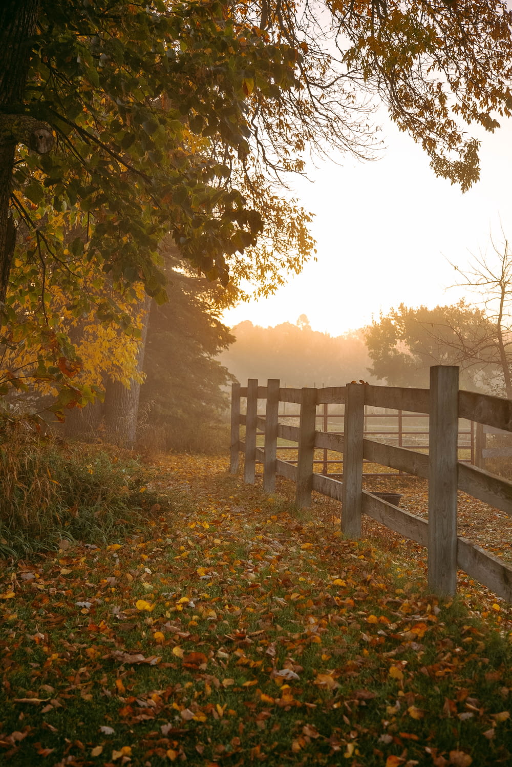 a wooden fence in a field with leaves on the ground