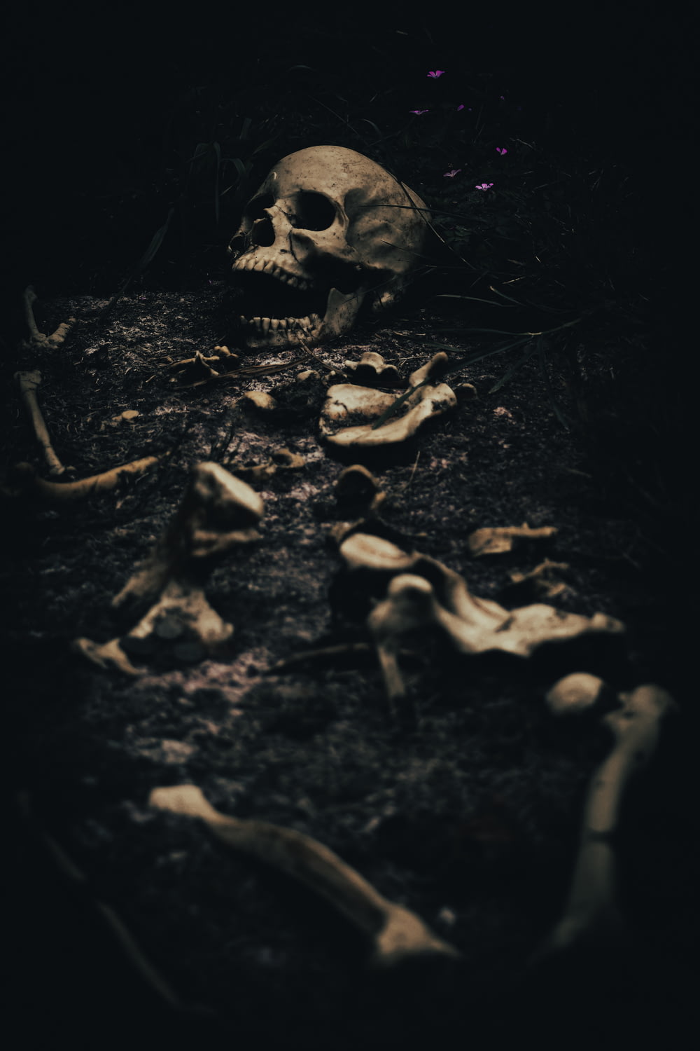 Ein menschlicher Schädel wird im Dunkeln gezeigt