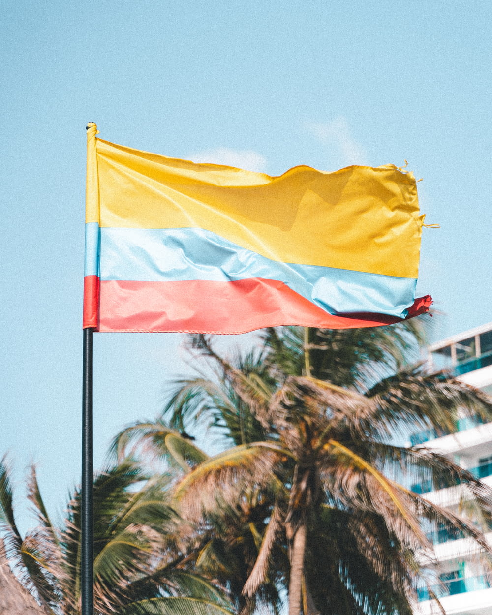 a flag flying in the wind with palm trees in the background