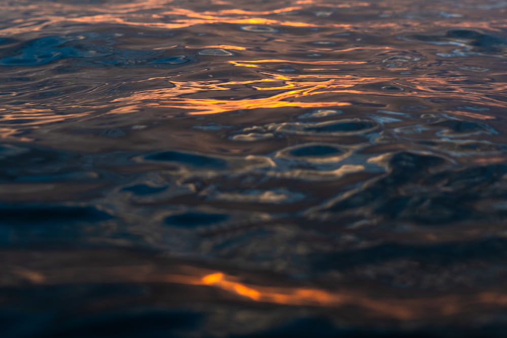 a close up of a body of water at sunset