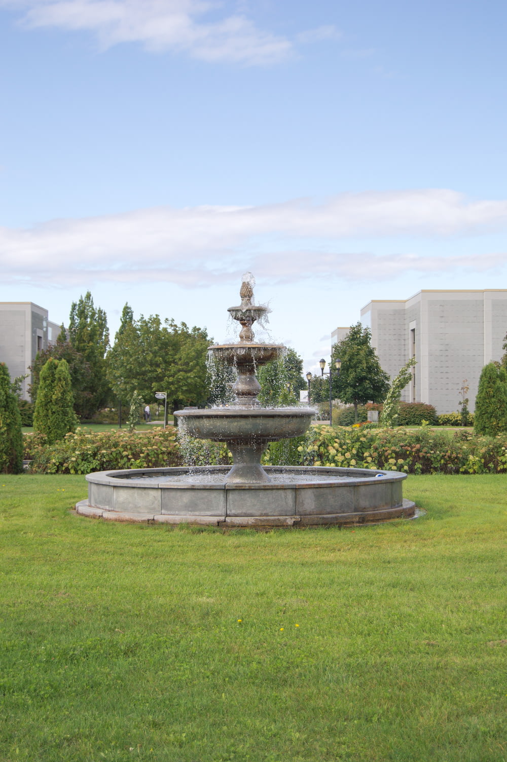 a fountain in the middle of a grassy field