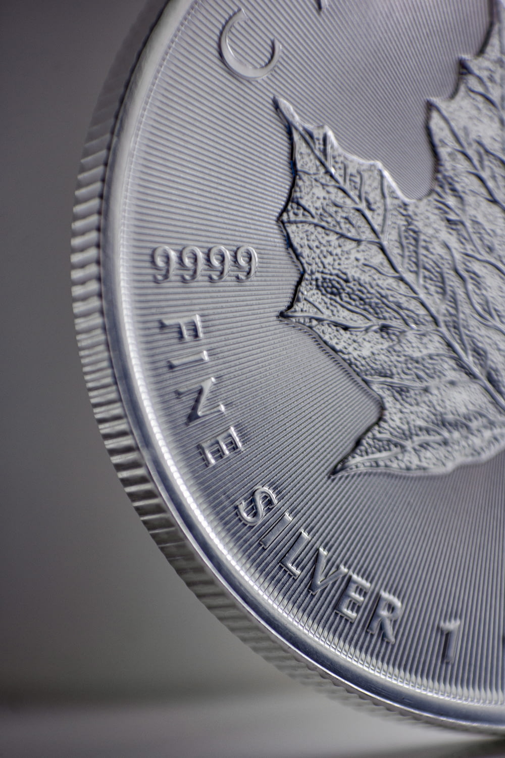 a close up of a silver coin with a leaf on it
