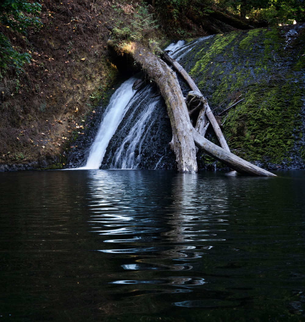 a waterfall with a fallen tree sticking out of it