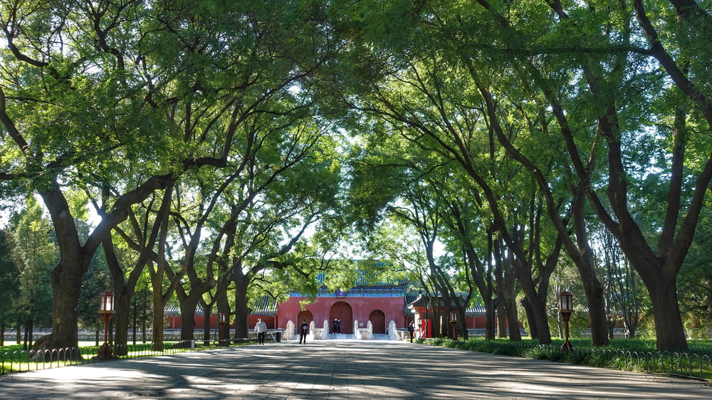 a red building surrounded by lots of trees