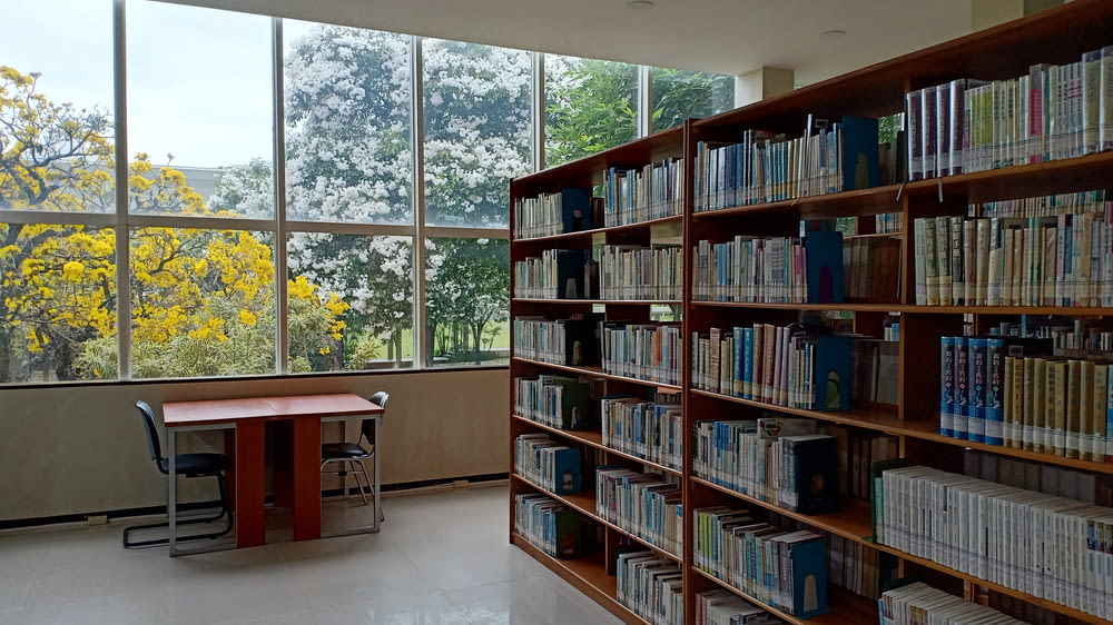 Eine Bibliothek mit vielen Büchern neben einem Fenster