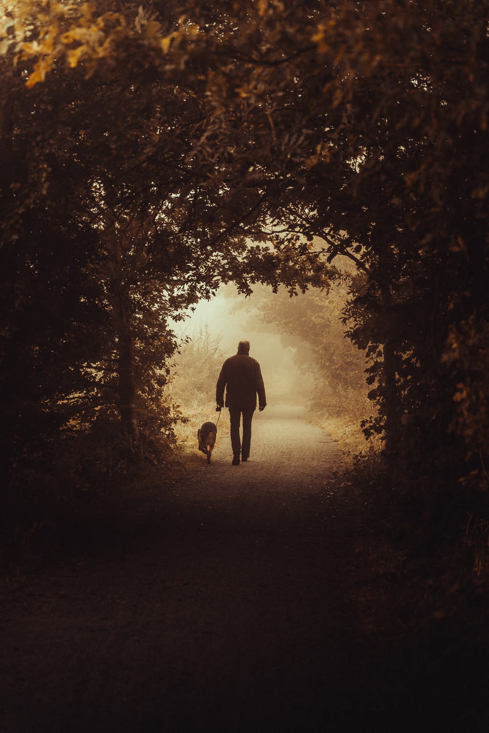 a man walking a dog down a path through a forest